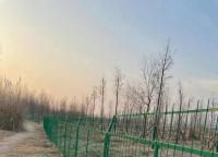 框架護欄網為什么經常做成1.8米高？